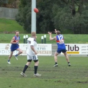2012_08_12_35s_45s_vs_gippsland_027.jpg