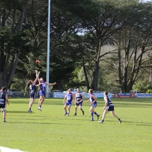 2017 Round 10 - 35s & 45s vs Geelong