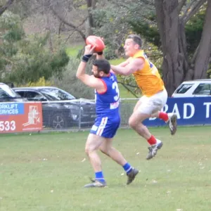 2018_08_12_round_10_ballarat_003.jpg