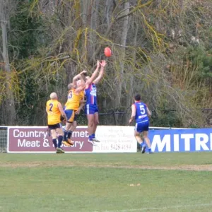 2018_08_12_round_10_ballarat_009.jpg