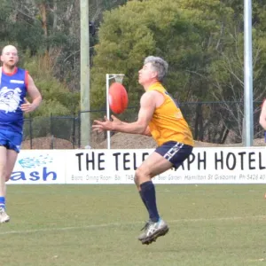 2018_08_12_round_10_ballarat_024.jpg
