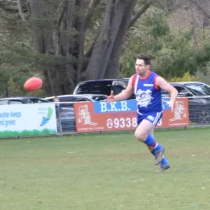 2018_08_12_round_10_ballarat_030.jpg