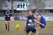 2026-round-7-south-coast-sharks-2816.jpg