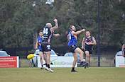 2026-round-7-south-coast-sharks-2875.jpg