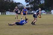 2026-round-7-south-coast-sharks-2993.jpg