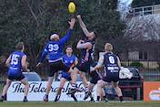 2026-round-7-south-coast-sharks-3011.jpg