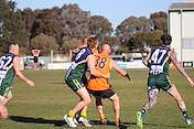 IMG_2869.JPG