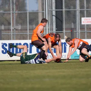 IMG_2772.JPG