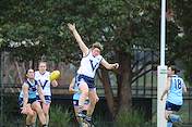 IMG_0130.JPG