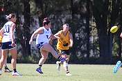 IMG_0726.JPG