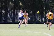 IMG_0736.JPG